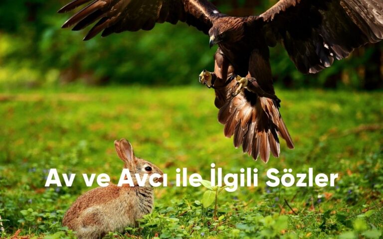 Av ve Avcı ile İlgili Sözler